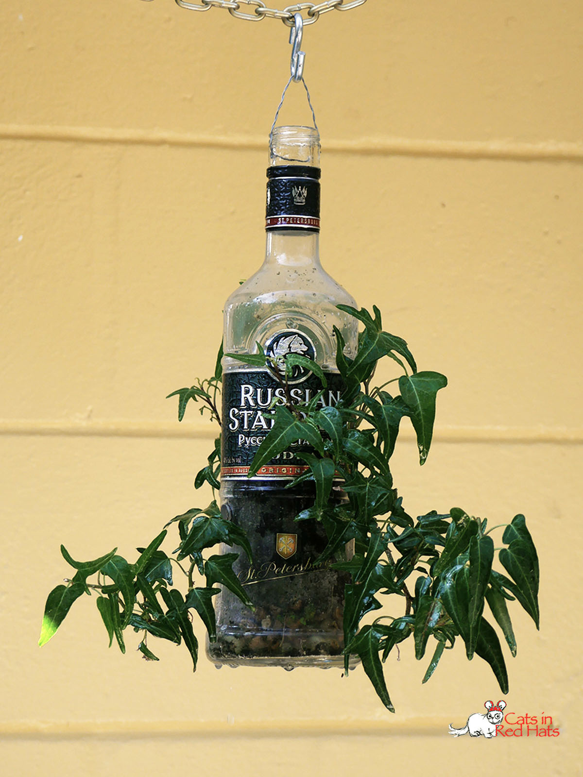 Russian Standard bottle with holes in sides for plants