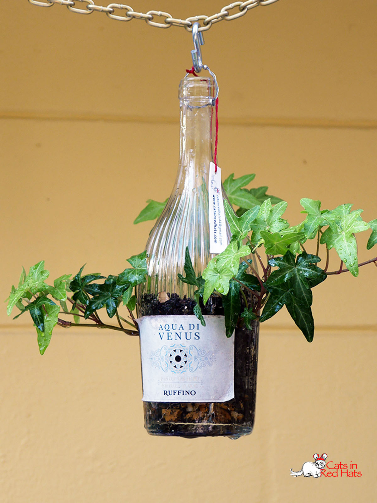 Aqua di Venus bottle with holes in sides for plants