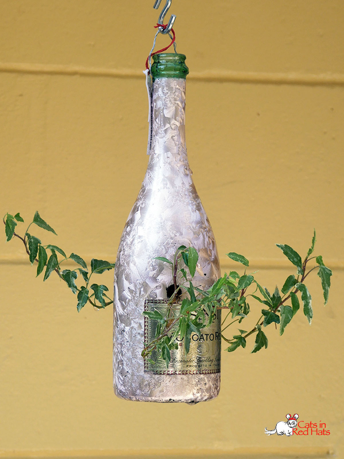pink Sensi wine bottle with holes in sides for plants