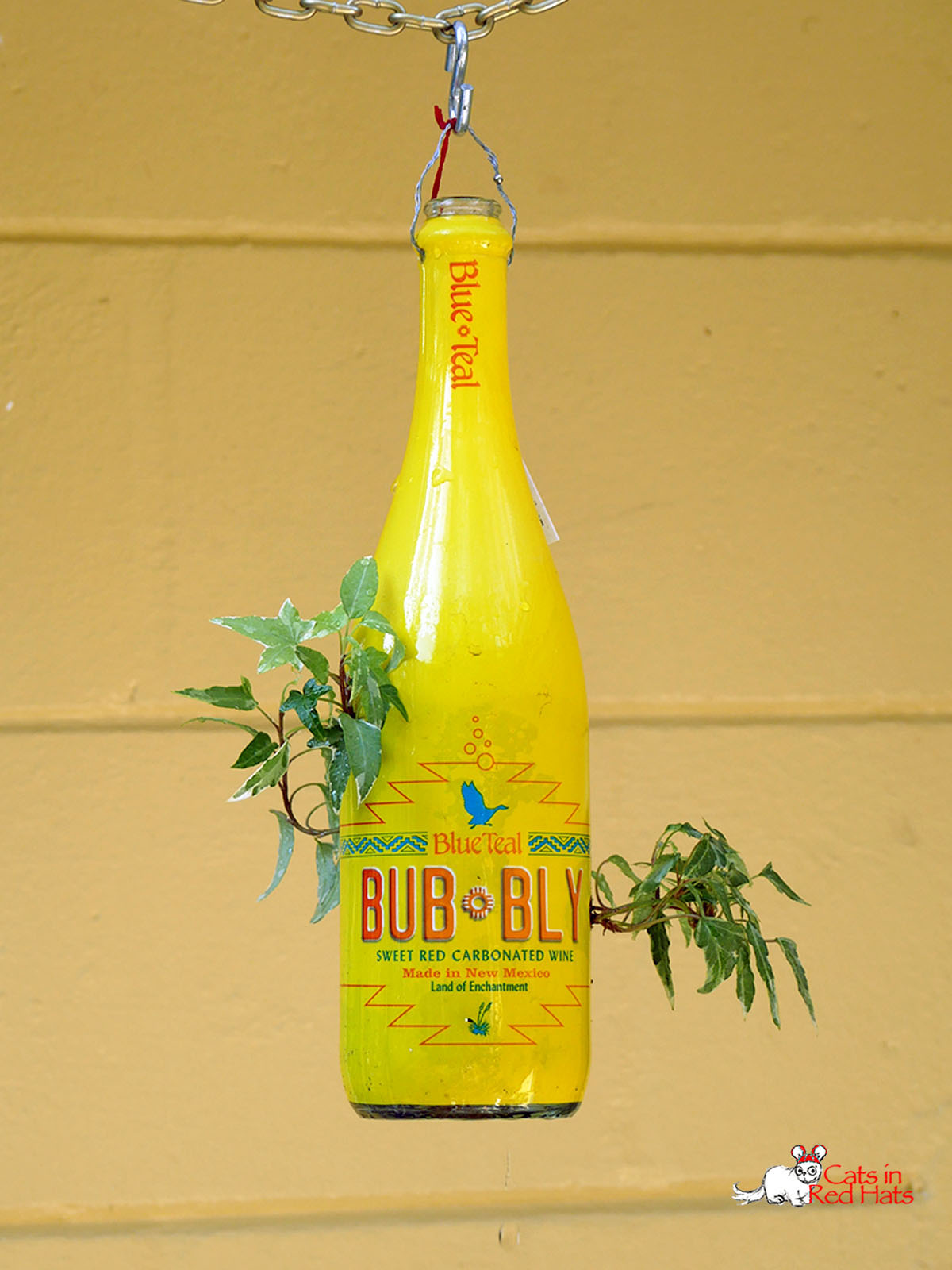 Bub Bly bottle with holes in sides for plants