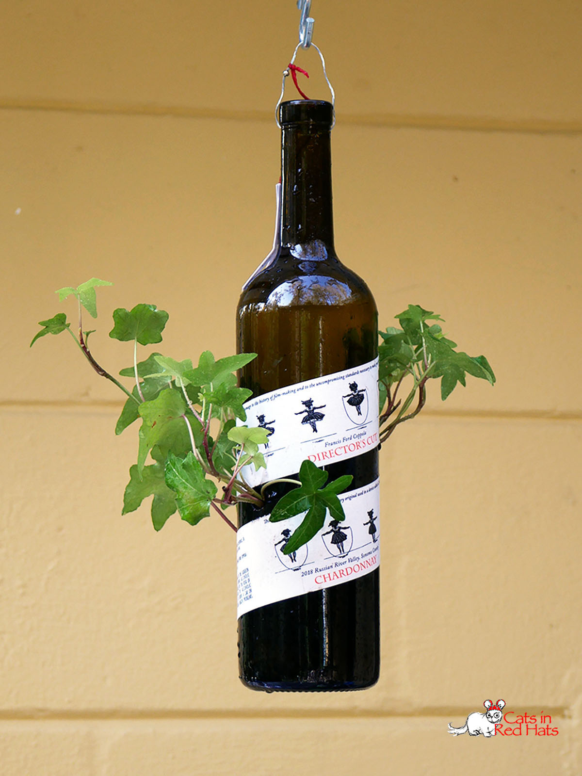 Director's Cut bottle with holes in sides for plants