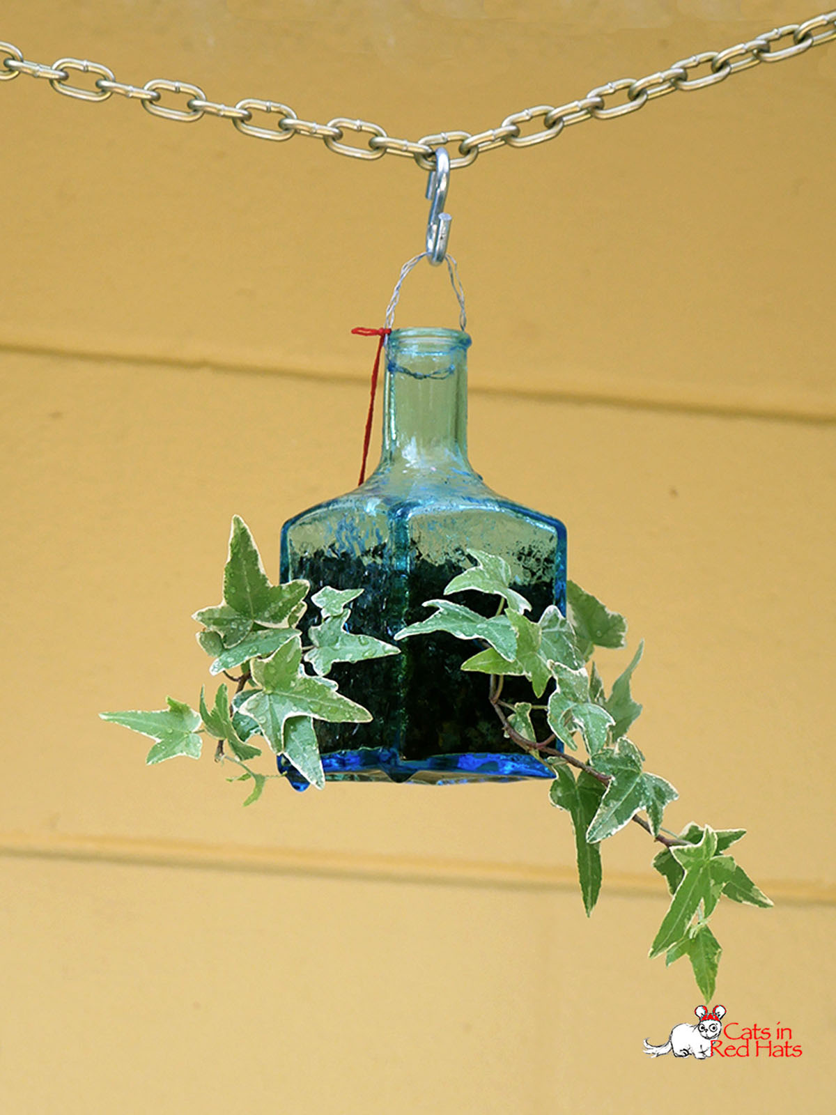 Small blue square cold saki bottle with holes in sides for plants