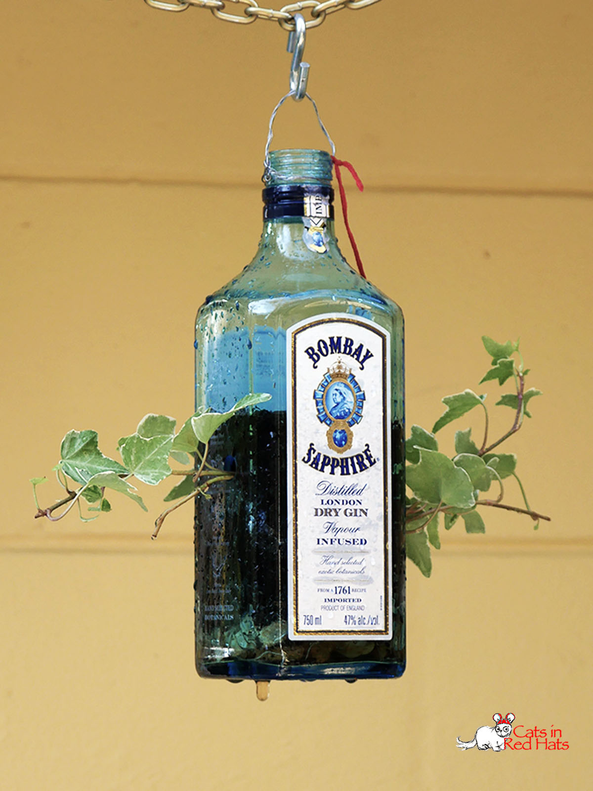 Bombay Sapphire Gin bottle with holes in sides for plants